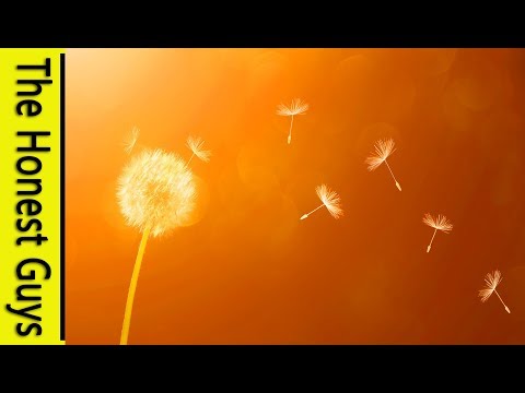 GUIDED MEDITATION - Deep Relaxation - "The Cleansing Wind"