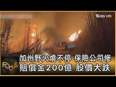 加州野火燒不停 保險公司慘 賠償金200億 股價大跌｜方念華｜FOCUS全球新聞20250115