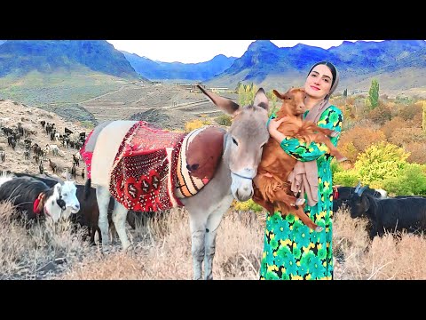 Village Life Iran | Amazing Donkey Riding and Herding by Village Girl