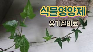 ♥유기질비료사용후/식물영양제사용방법