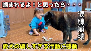 【感動】こんなに優しい犬、見たことない。オヤツあげてたら信じられない行動に