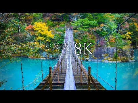 [Unexplored region of Japan] dream suspension bridge and autumn leaves of Sumata Gorge-Japan in 8K