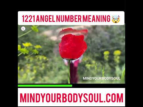 🤯🔮 "Unleashing the Secrets of Angel Number 1221: What Does it Really Mean?"#angelnumber1221