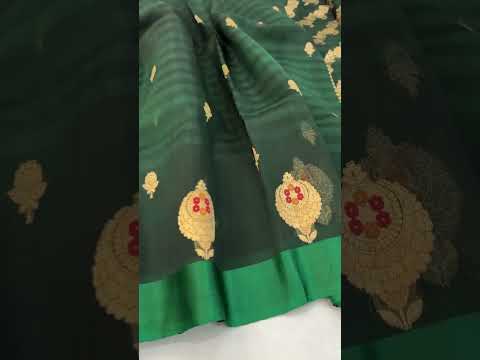 SareeSensations: Banarasi Organza Silk Saree - A Dream in Silk