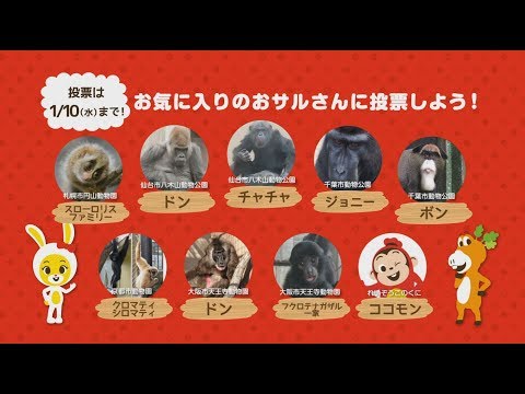 【さるコン】全国のおサルさんが大集合！投票は2018年1月10日（水）まで！