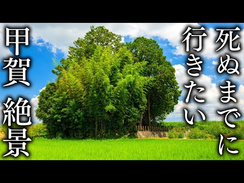 [Ninja City Koga] 17 superb views of Shiga that you want to see before you die - JAPAN in 8K