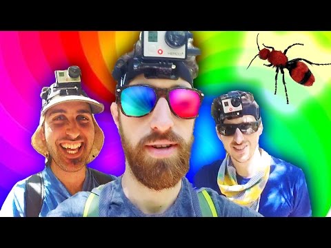 3 Guys Not On Acid Ep. 1: Bee or Ant {The Kloons}