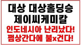 대상,대상홀딩스,제이씨케미칼,대상주가,대상주가,대상주가전망,대상홀딩스주가전망,대상주가,제이씨케미칼주가전망