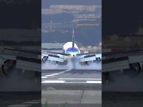 ANA B767-300ER | Spectacular landing after passing overhead from Senri River | Osaka ITAMI Airport