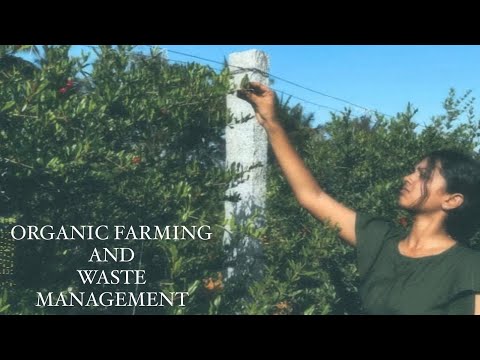 Organic farming and waste management SCR #organic #organic farming#wastemanagement