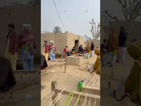 Real Simple Village Life in Punjab Pakistan #shorts #villagelife