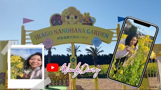 IRAGO NANOHANA GARDEN | wendz diary