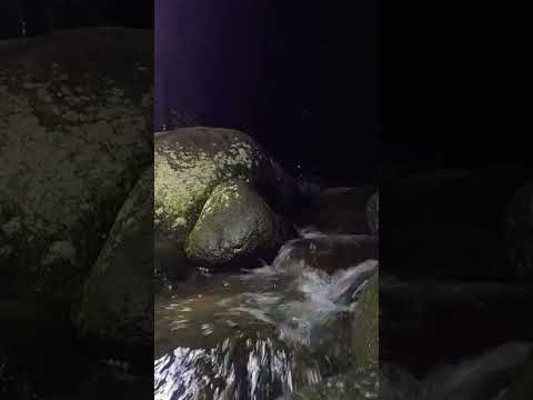 The beautiful flow of river water at night #river #riversounds #riversoundsrelaxing #soothingsound