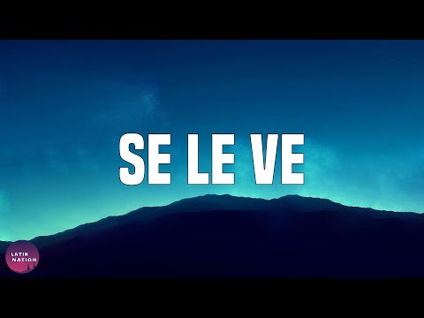 Sech-Se Le Ve (Letra/Lyrics)