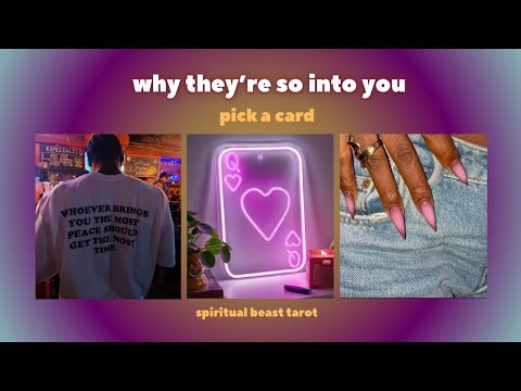 why they’re so into you | pick a card