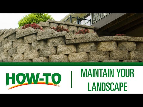 How To Maintain your Landscaping | Menards