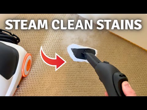 How to Clean Carpet Stains With a Steam Cleaner