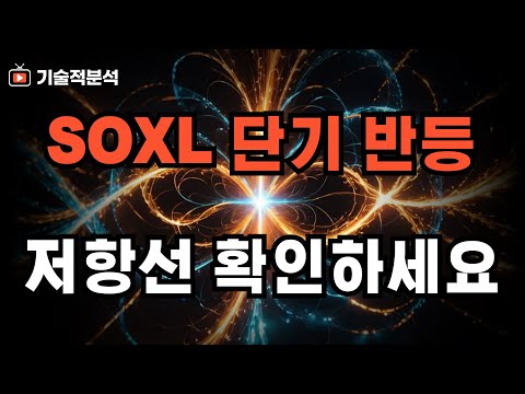 SOXL 저점 단기 반등 저항은 여기까지 입니다 ｜테슬라 매수 전략은 이렇게 가져가세요!