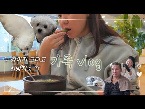 [일상vlog] 아빠 셀프 염색 해주기💁‍♀️, 엄마밥 먹으며 요양하는 일상 이야기, 두 갱얼지 구경하러 오세요