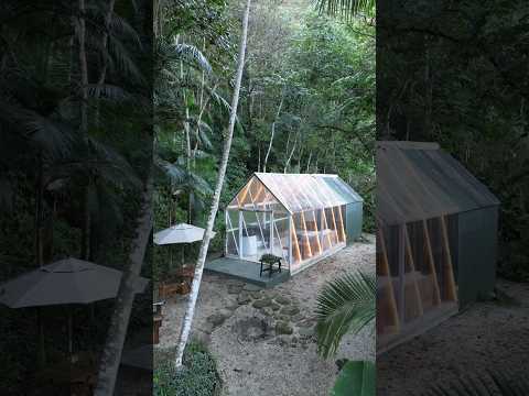 Transparent Jungle Tiny Home w/ Japanese Bath! (60 Second Airbnb Tour)