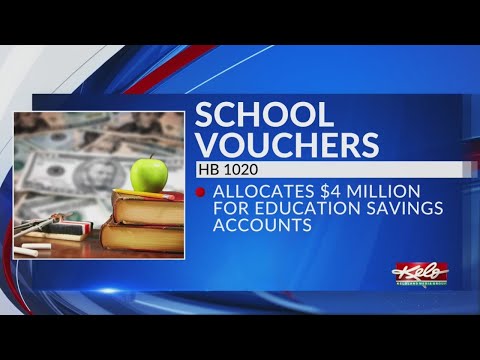 School voucher bill introduced