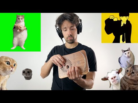 Cat memes and viral songs on many instruments