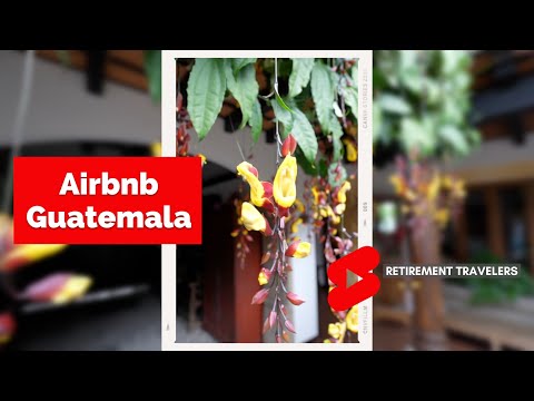 Retirement Travelers: BEST AIRBNB EVER!! | Antigua Guatemala Vlog #shorts