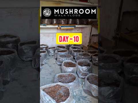 Button mushroom farming in India Best part time work mushroom farming #shorts