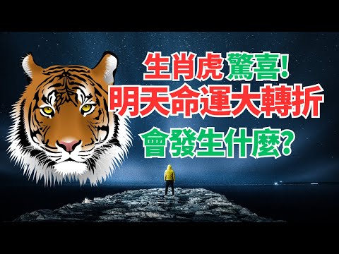 生肖虎，26日很特別，你吉星高照，爆炸性的改變要來，你命運轉折想不到！不可不看！快接！ #2024年生肖虎運程 #2024生肖虎運勢 #2024属虎运势 #2024属虎运程