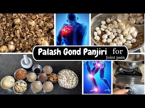 Palash Gond Panjiri for back/joint pain | Superfood of Winters