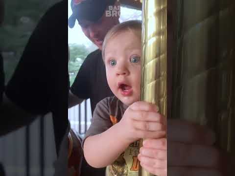 The adorable reaction of a baby on their first Safari trip #short #shorts #funnybabyvideos