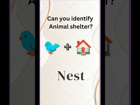 Identify Animal shelter|| daily Quiz|| Rubab YouTube school #motivation