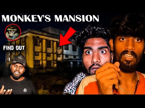 THE HAUNTED MONKEYS MANSION-?