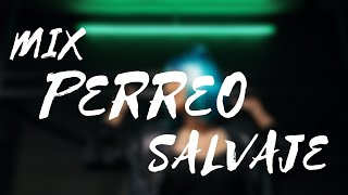 Mix Perreo Salvaje 🔥 OldSchoold - Reggeaton Antiguo Hist 🔥 Dj Anthony Alexander