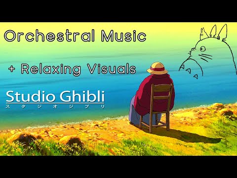 Amazing Visuals Studio Ghibli Accompanied by orchestra music will bring you back to your childhood ✨