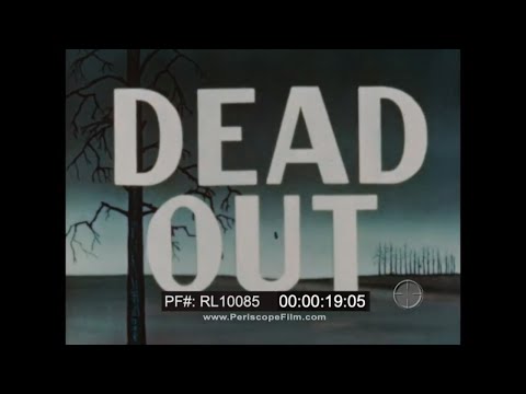 " DEAD OUT " 1950s USDA & U.S. FOREST SERVICE  BRUSH FIRE & FOREST FIRE PREVENTION FILM  RL10085