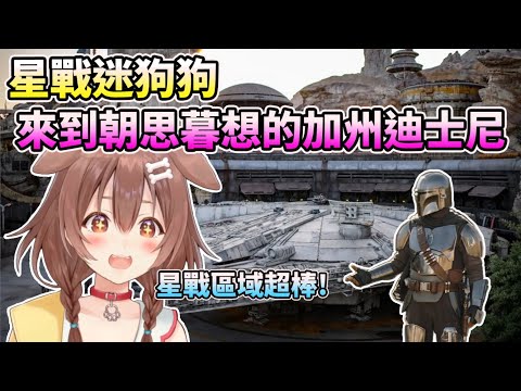 來到加州迪士尼興奮不已的沁音~旅遊趣事~【HOLO中文翻譯/戌神沁音】