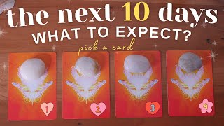 What Will Happen? 🔮 Next 10 Days! ✨💜 Quick Answer ✨ | PICK A CARD | Timeless Tarot Reading