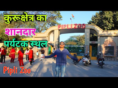 Pipli zoo - kurukshetra, कुरूक्षेत्र मे घूमने की शानदार जगह