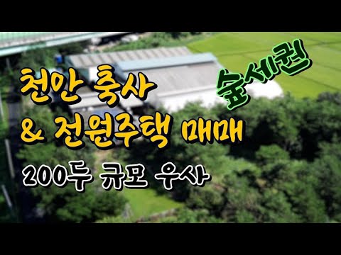 천안 전원주택 & 축사매매 / 200두 규모의 시내 생활권의 위치 !