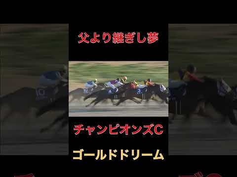 父より継ぎし夢ゴールドドリーム【競馬】#競馬#ゴールドドリーム