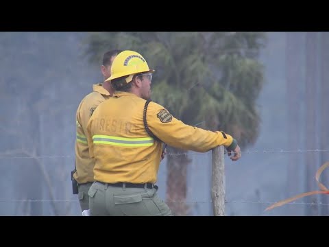 Florida Forest Service prepares for busy wildfire season