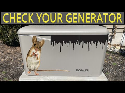 Avoid Surprises By Checking Your Generator