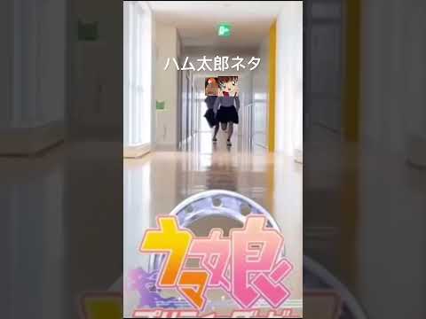 ハム太郎ネタ動画#shorts #ハム太郎 #チャンネル登録お願いします