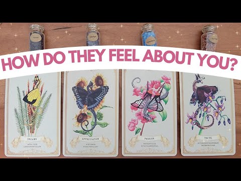 💕 How Do They Feel About You? 😍💌✨ | PICK A CARD Timeless Tarot Reading