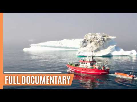 Exploring Gronland's Arctic Majesty | Full Documentary