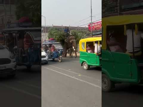 To aaj chle hum shopping 🛍️part-1#trending #viral #minivlog #shoppingtime #like #gorakhpur #india