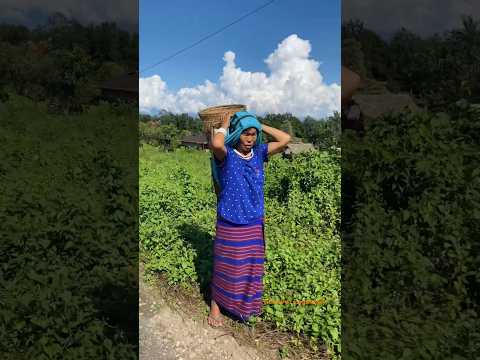 Beauty of Arunachal Pradesh | North east tour | Arunachal Pradesh #arunachalpradesh #travel #shorts