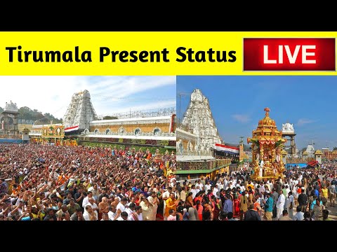 Tirupati Balaji Live Darshan Today | Tirumala present  status | DP Trekker