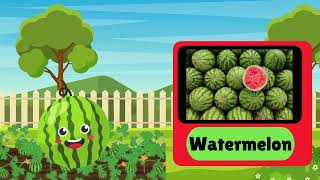 Fruits and Veggies Adventures |  Learning Fruits and Veggies for Kids!